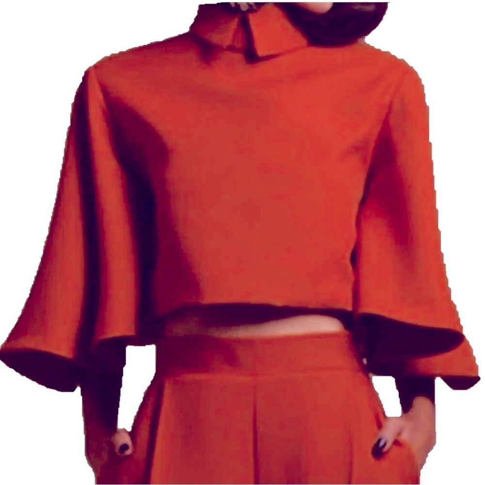 StyleWe Stand Up Collar Crop Top XL Butterfly Sleeves Cinnabar